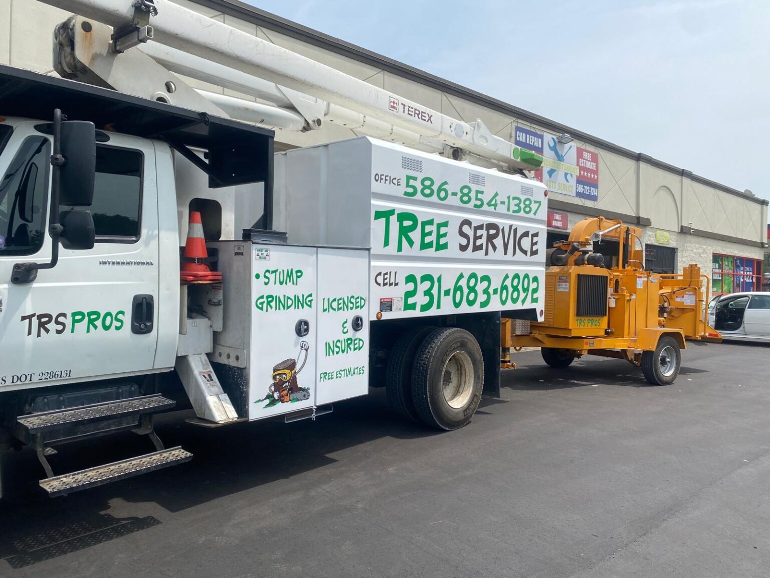 Trees R Us About – Trspros LLC