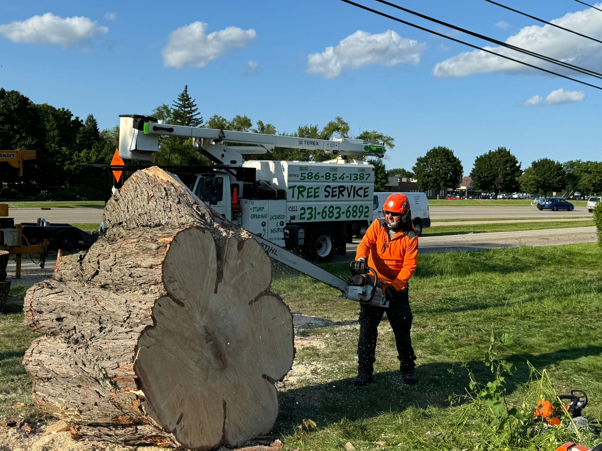 Timber Pros Tree Service Trspros LLC – trsprosstumpgrinding&treeservice